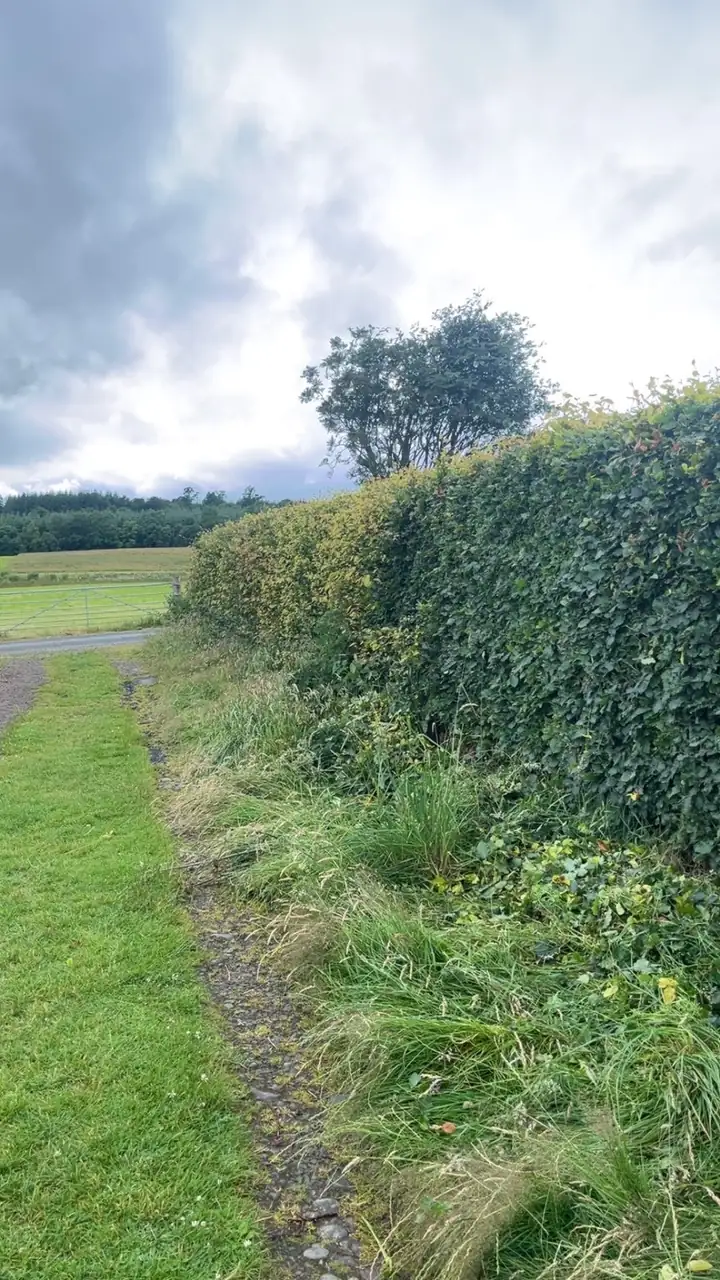 Hedge Cutting by RML Ground Maintenance in Dumfries and Galloway