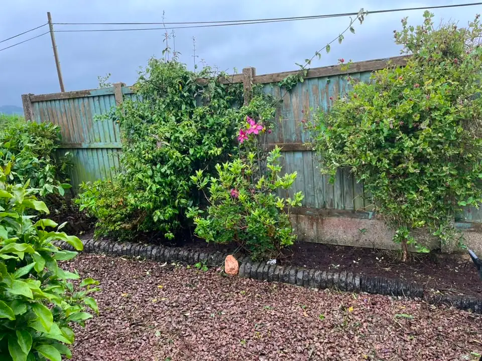 Garden border tidied and cleared by RML Ground Maintenance