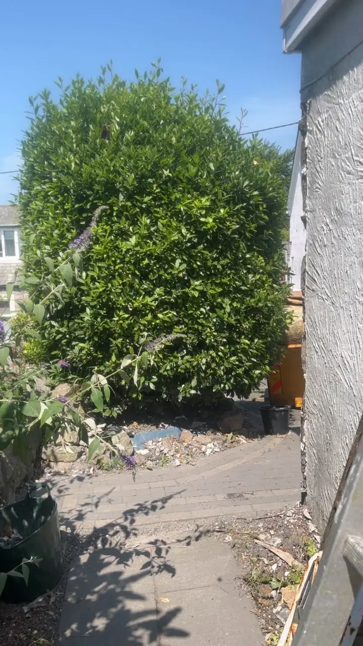 Garden wall and gate removed, opening up a clear path through to the garden