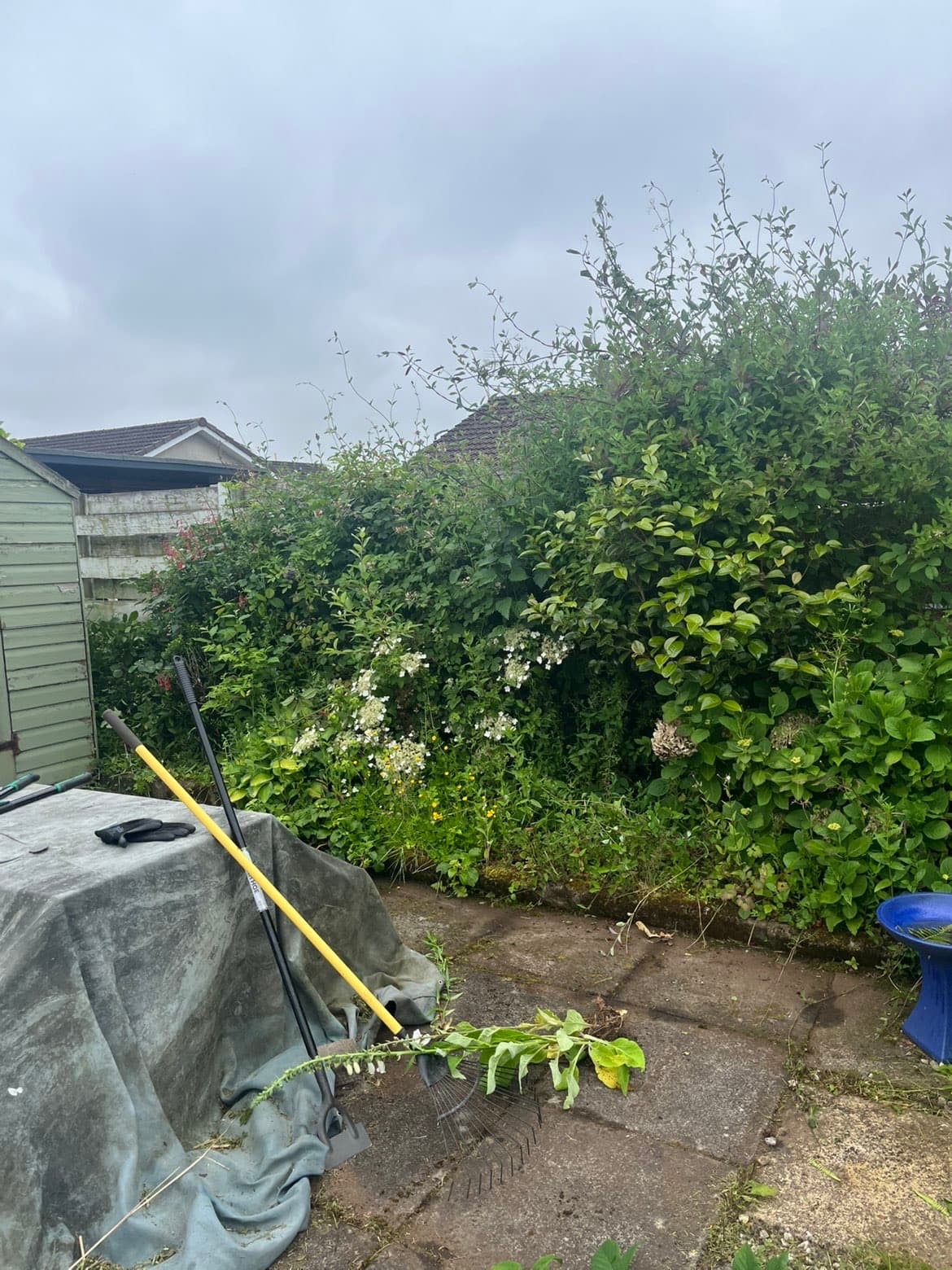 Outdoor property maintenance service in Dumfries and Galloway