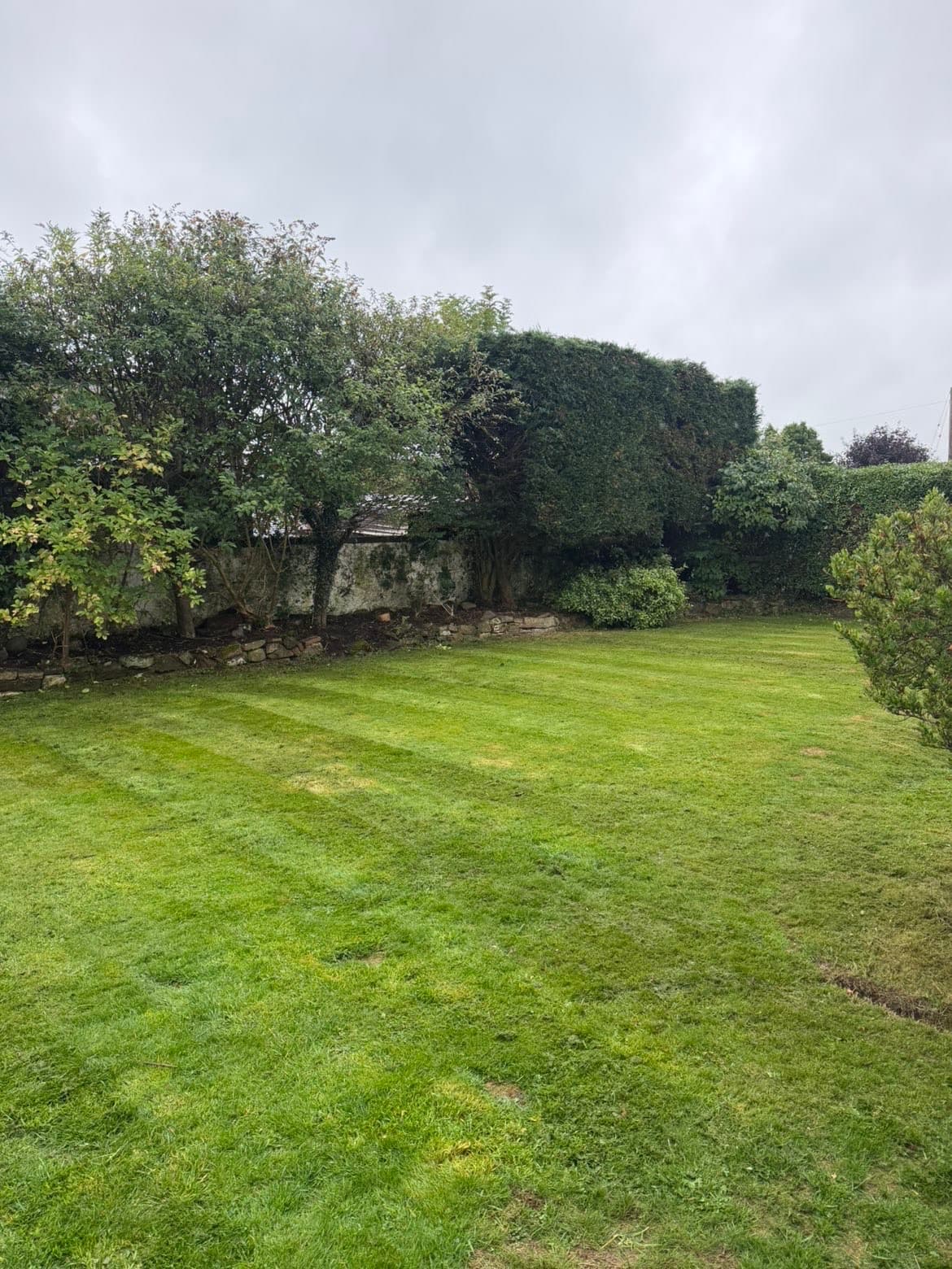 Striped lawn and trimmed hedges after the garden maintenance visit in Lochmaben