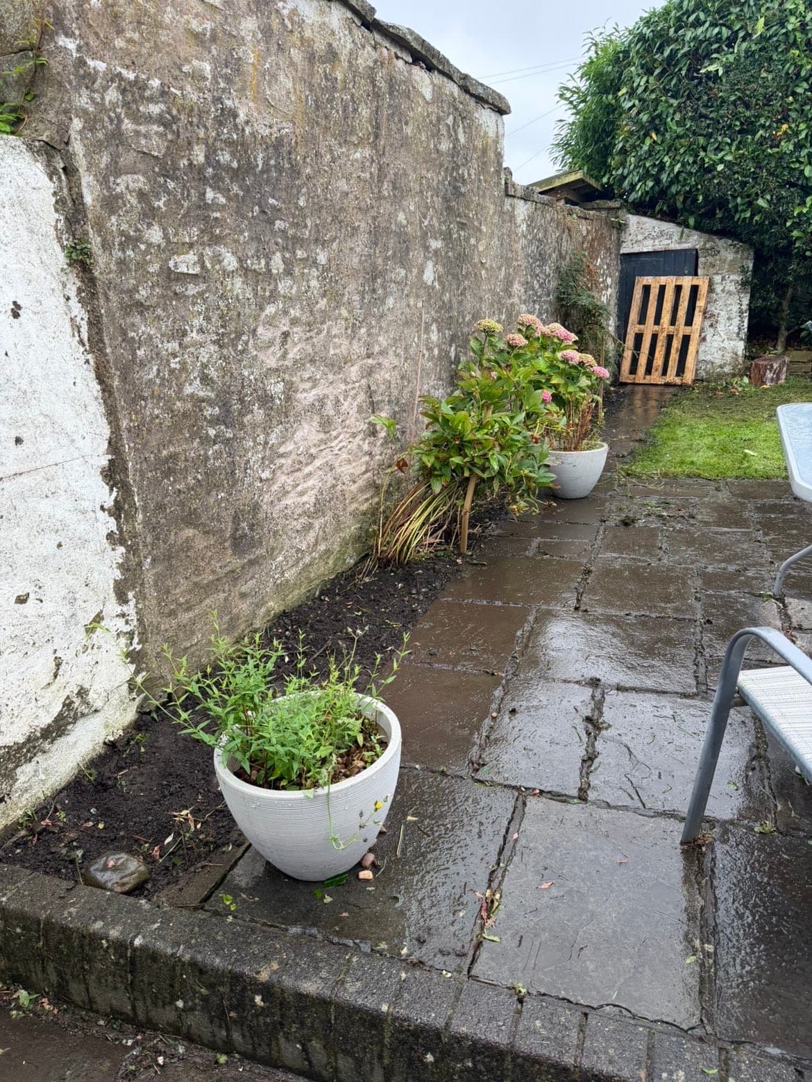 The same wall with the conifer removed and the border cleared in Lochmaben