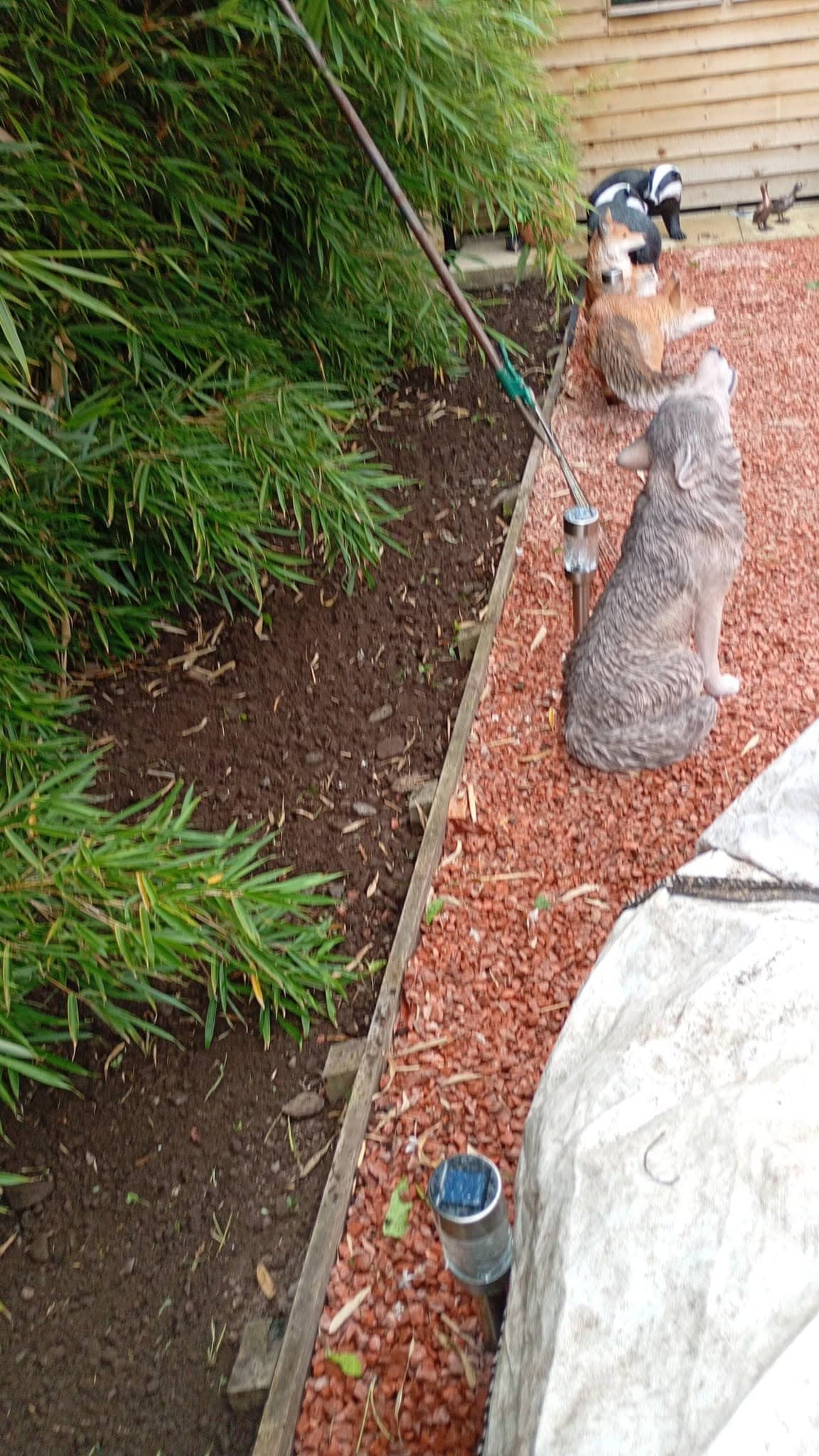Garden border cleared of weeds by RML Ground Maintenance